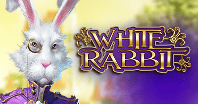 White Rabbit at Quatro Casino